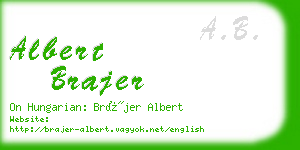 albert brajer business card